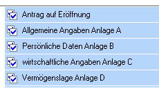 Gerichtsformulare Regelinsolvenzverfahren