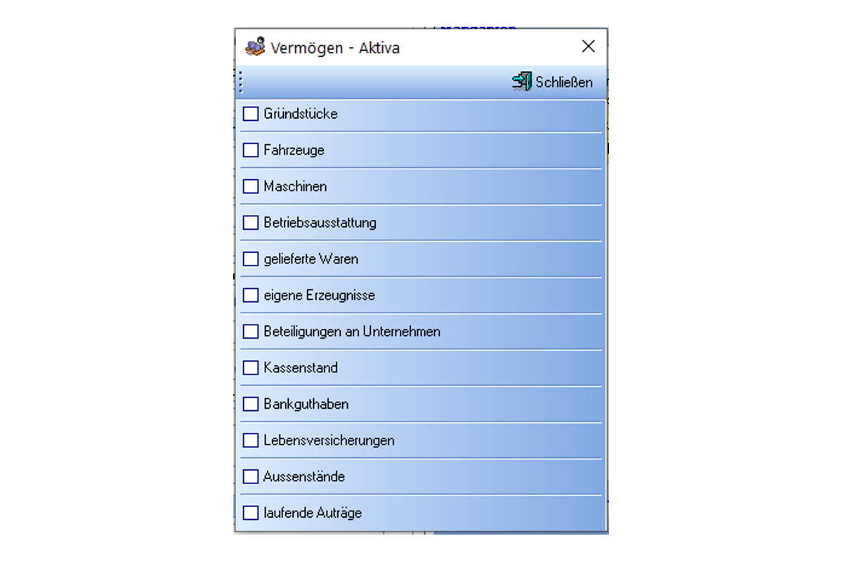 Erfassen von Aktiva und Passiva